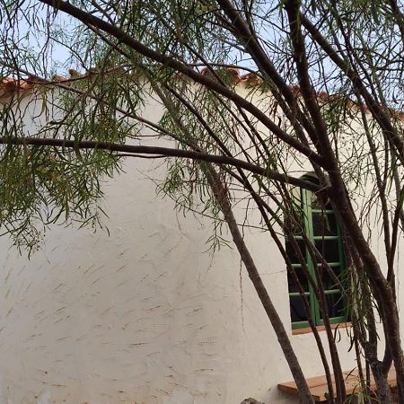 Alojamiento Fuerteventura Tikuna 拉·奥利瓦 外观 照片